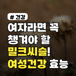 여자라면 꼭 챙겨야 할 밀크씨슬! 여성 건강 지키는 효능 5가지