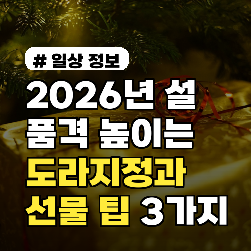 2026년 설 명절, 품격 높이는 도라지정과 선물 고르는 팁 3가지