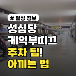 성심당 케익부띠끄 주차 팁! 주차비 폭탄 피하는 2026년 최신 정보