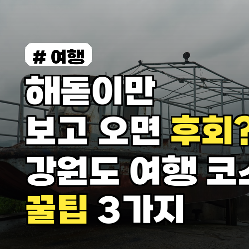 해돋이만 보고 오면 후회? 강원도 여행 코스 꿀팁 3가지