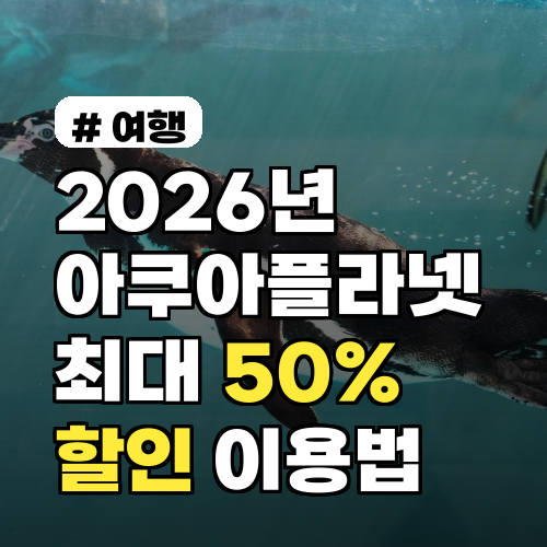 2026년 아쿠아플라넷 최대 50% 할인! 현명하게 이용하는 법