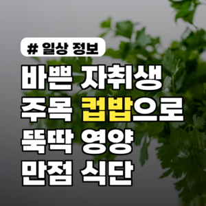 바쁜 자취생 주목! 컵밥으로 뚝딱 만드는 한 그릇 영양 만점 식단