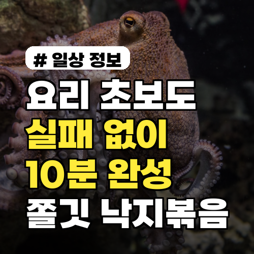 요리 초보도 실패 없이! 10분 완성 쫄깃한 낙지볶음 황금 레시피