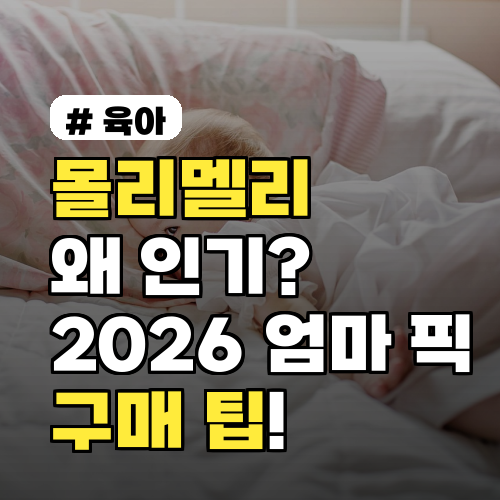 몰리멜리 왜 인기? 2026년 엄마들이 픽한 이유 3가지와 구매 팁