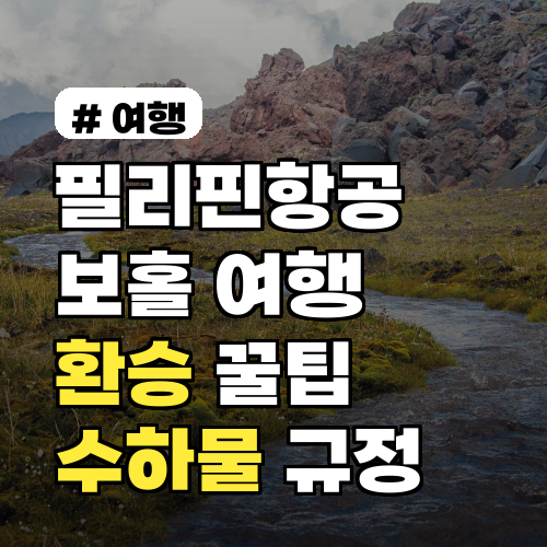 필리핀항공으로 보홀 간다면? 놓치지 말아야 할 환승 & 수화물 팁 3가지