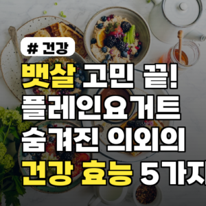 뱃살 고민 끝! 플레인요거트 숨겨진 의외의 건강 효능 5가지