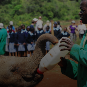 학력 무관! 2026년 생활지원사자격증 최단기 취득 비법