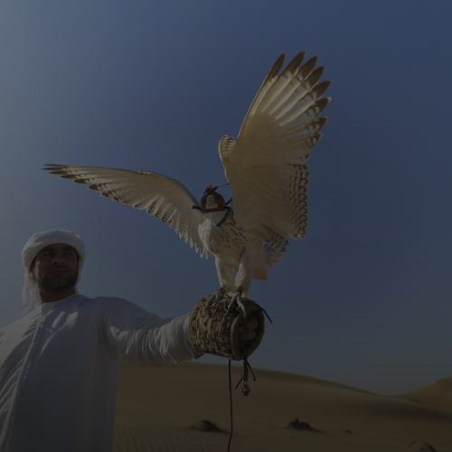 프로 선수만 아는 야구글러브 '이것'으로 길들이면 3일 만에 완성