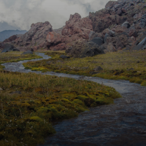 북해도여행 경비 50만원 아끼는 법! 2026년 최신 가이드