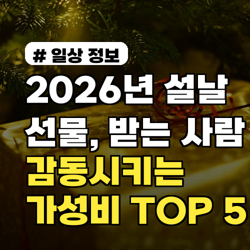 2026년 설날 선물, 받는 사람 감동시키는 가성비 TOP 5
