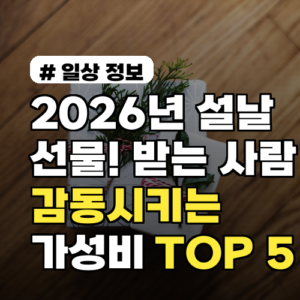 2026년 설날 선물, 받는 사람 감동시키는 가성비 TOP 5
