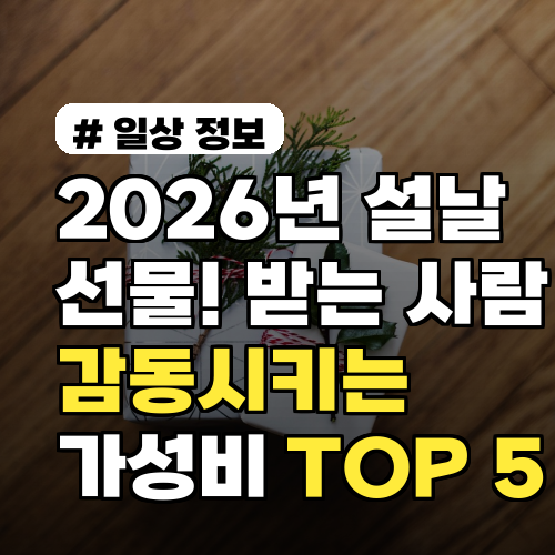 2026년 설날 선물, 받는 사람 감동시키는 가성비 TOP 5