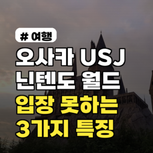 오사카 유니버셜 닌텐도 월드, 입장 못하는 사람 특징 3가지