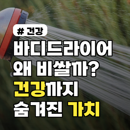 바디드라이어 왜 비쌀까? 의외로 건강까지 지켜주는 숨겨진 가치
