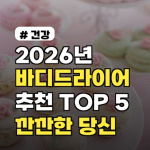 2026년 바디드라이어 추천 TOP 5, 깐깐한 당신이 고를 한가지