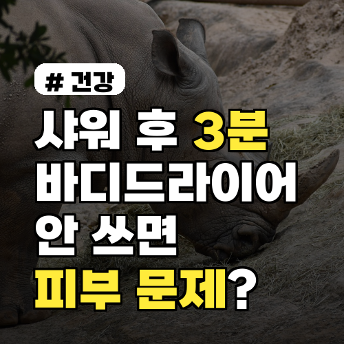 샤워 후 3분, 바디드라이어 안 쓰면 생기는 의외의 피부 문제