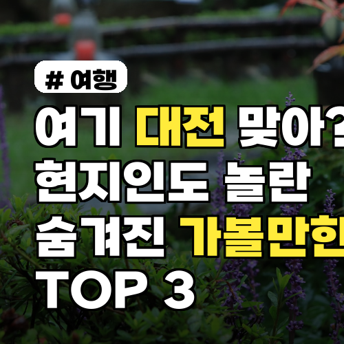 여기 대전 맞아? 현지인도 놀란 숨겨진 가볼만한곳 3선