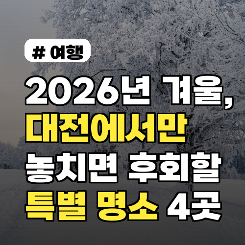 2026년 겨울, 대전에서만 놓치면 후회할 특별한 명소 4곳