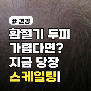 환절기 두피가 가렵다면? 지금 당장 해야 할 스케일링으로 해결!