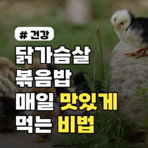 닭가슴살 볶음밥 맛없다고? 이 방법으로 매일 맛있게 먹는 비법 3가지