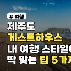 제주도게스트하우스, 내 여행 스타일에 딱 맞는 숙소 고르는 팁 5가지