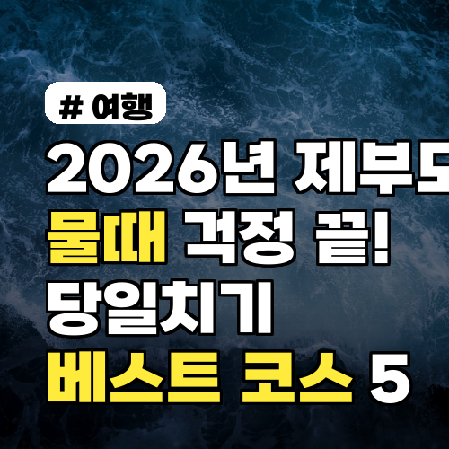 2026년 제부도 물때 걱정 끝! 당일치기 베스트 코스 5