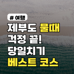 2026년 제부도 물때 걱정 끝! 당일치기 베스트 코스 5