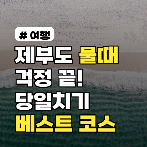 2026년 제부도 물때 걱정 끝! 당일치기 베스트 코스 5