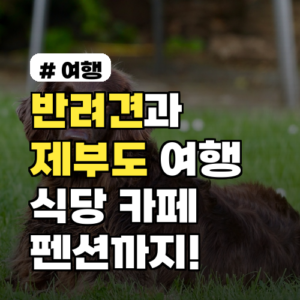 반려견과 제부도 여행! 애견동반 식당·카페부터 펜션까지