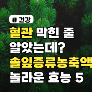 혈관 막힌 줄 알았는데? 솔잎증류농축액의 놀라운 효능 5가지