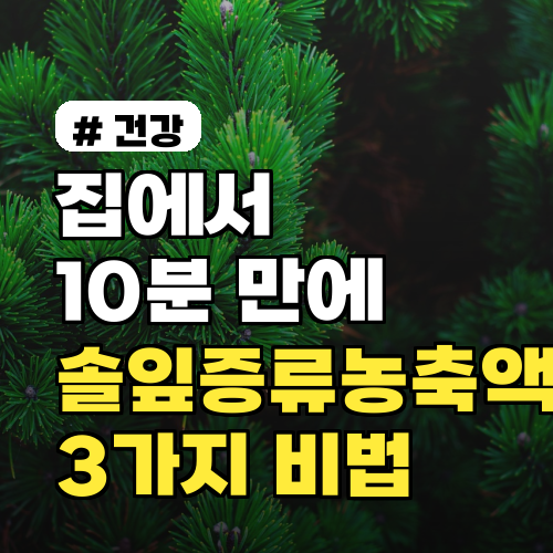 집에서 10분 만에 끝! 솔잎증류농축액 실패 없이 만드는 3가지 비법
