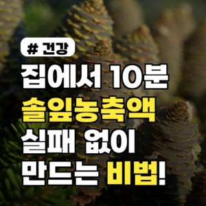 집에서 10분 만에 끝! 솔잎증류농축액 실패 없이 만드는 3가지 비법
