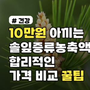10만원 아끼는 꿀팁! 솔잎증류농축액 합리적인 가격 비교 3단계