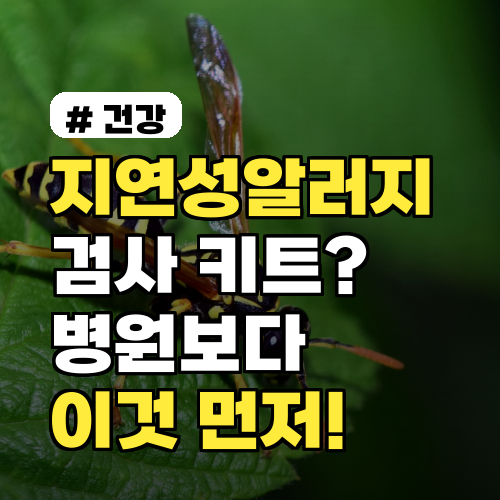 지연성알러지검사 키트? 병원보다 이걸 먼저 확인하세요 3가지