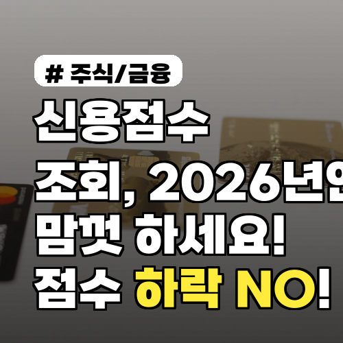 신용점수 조회, 2026년엔 맘껏 하세요! 점수 하락 NO!