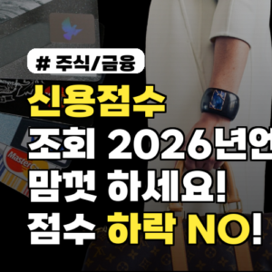 신용점수 조회, 2026년엔 맘껏 하세요! 점수 하락 NO!