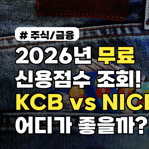 2026년 무료 신용점수 조회! KCB vs NICE, 어디가 좋을까?