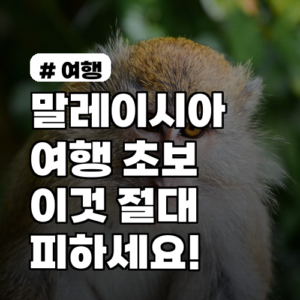 말레이시아 여행 초보라면 ‘이것’ 절대 피하세요! 7가지