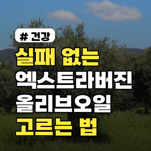 실패 없는 엑스트라버진 올리브오일 고르는 기준 3가지 (37자)