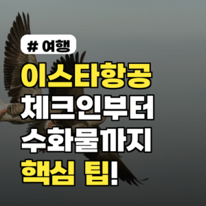 이스타항공 체크인부터 수화물까지, 이것만 알면 끝! 3가지 핵심 팁