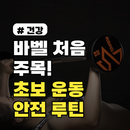 바벨 처음이라면 주목! 초보자를 위한 안전한 바벨 운동 루틴 3가지