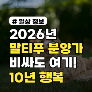 2026년 말티푸 분양가, 비싸도 여기 선택해야 10년 넘게 행복!