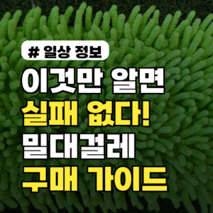 이것만 알면 실패 없다! 2026년 밀대걸레 구매 가이드 TOP 5
