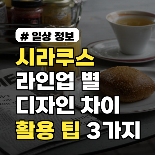 시라쿠스 라인업 별 디자인 차이와 숨겨진 활용 팁 3가지