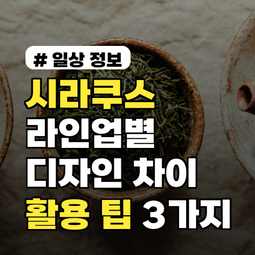 시라쿠스 라인업 별 디자인 차이와 숨겨진 활용 팁 3가지