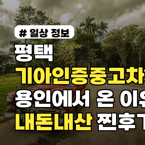 평택 기아인증중고차? 용인에서 여기까지 온 이유! 내돈내산 찐후기
