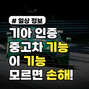 2026년 기아인증중고차, 이 기능 모르면 무조건 손해! 앱부터 탁송까지