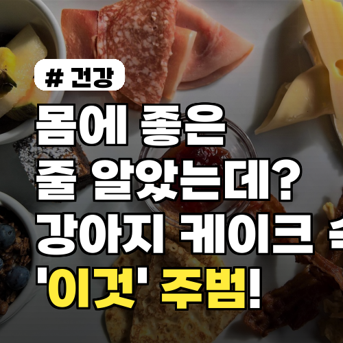 몸에 좋은 줄 알았는데? 강아지 케이크 속 '이것' 주범!