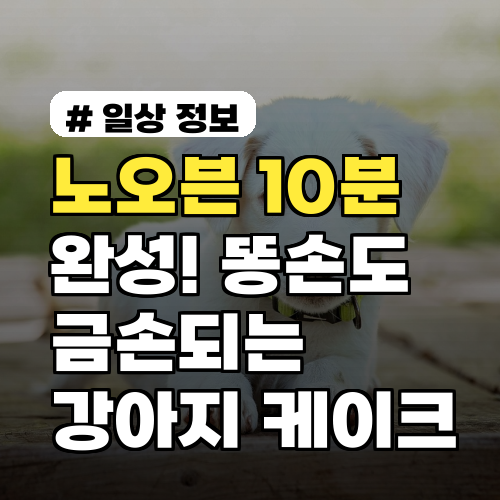 노오븐 10분 완성! 똥손도 금손되는 강아지 케이크 레시피