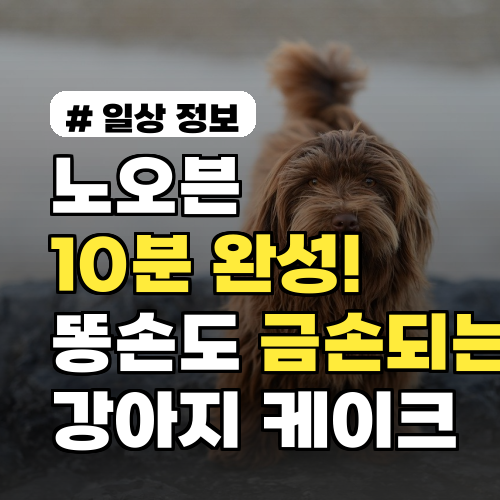 노오븐 10분 완성! 똥손도 금손되는 강아지 케이크 레시피
